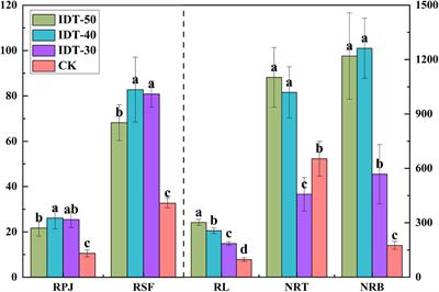 Mechanism of Intermittent Deep Tillage and Different Depths Improving Crop Growth From the Perspective of Rhizosphere Soil Nutrients, Root System Architectures, Bacterial Communities, and Functional Profiles